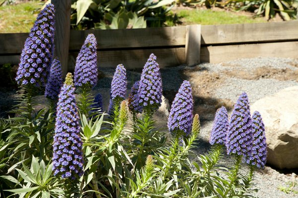 Transforming Historic Spaces: A Guide to Designing Wheelchair-Accessible Bathrooms in UK Heritage Buildings