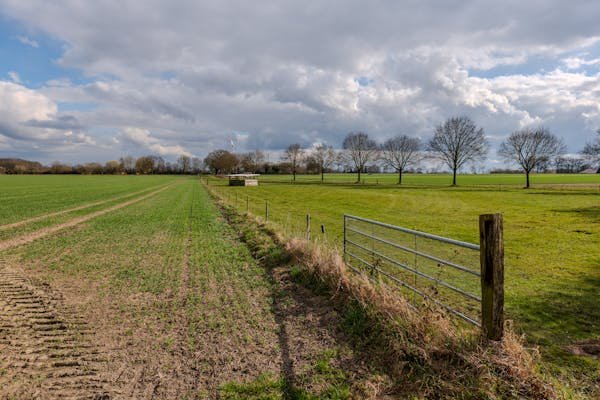 Farmingdale observer: key tips for a thriving community